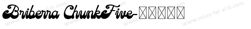 Briberra ChunkFive字体转换